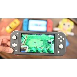 Nintendo Switch Lite.