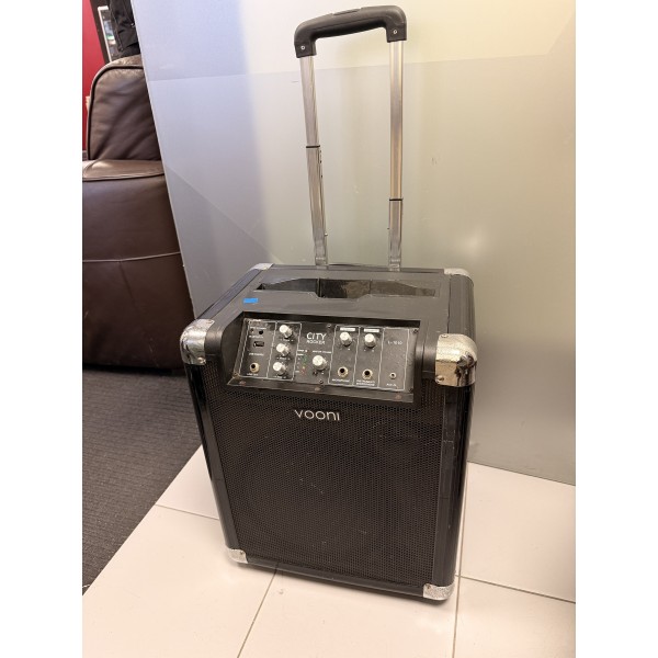 BT kolonėlė Vooni L-1010